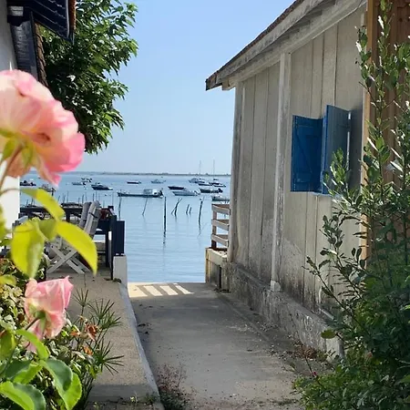 Le Jardin 51 * Andernos-les-Bains