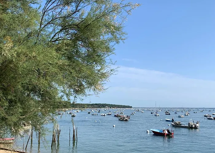 Le Jardin 51 Couette-café