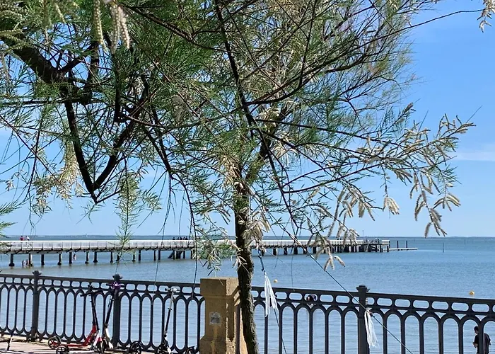 Panzió Le Jardin 51