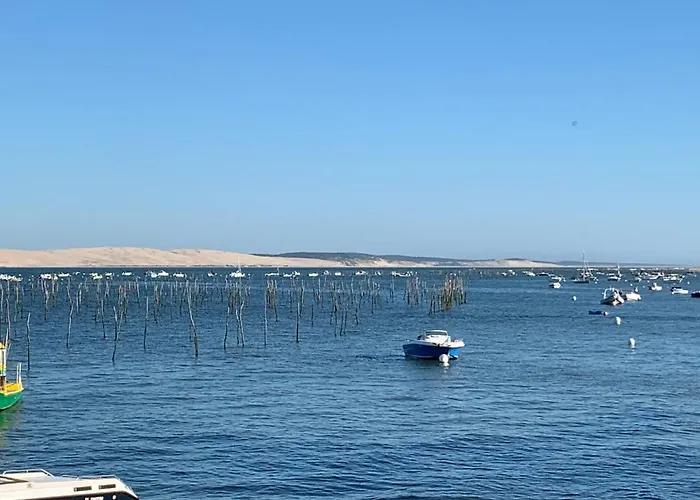 Panzió Le Jardin 51 Andernos-les-Bains